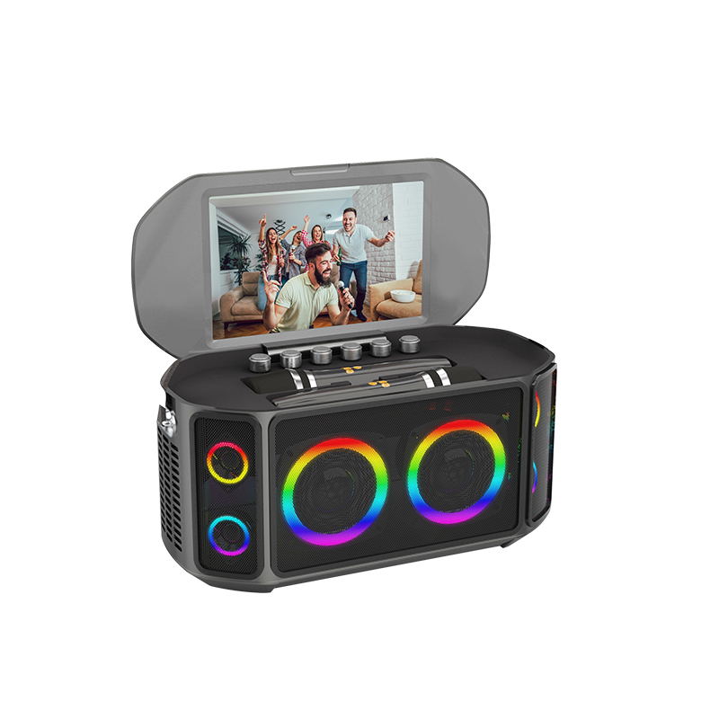 All-in-one Ktv Touch Screen Wi - огляд і ціна Bluetooth Speaker
